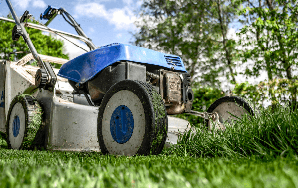 Mowing Lawns power lawnmower cutting grass