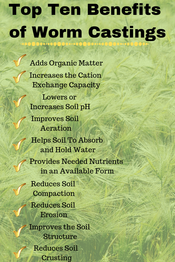 Top 10 Benefits of Worm Castings Iowa Worm Composting