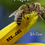 Vermicompost Project honey bee on a flower