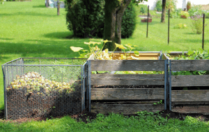 Vermicompost and Organic Materials 3 compost bins outdoors