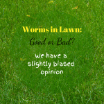 Worms in Lawn healthy lawn