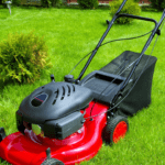 Worms in Lawn lawnmower in a healthy lawn