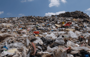 Landfill Waste pile of organic waste