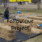 Straw Bale Gardening follow our project