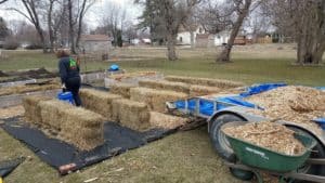 Straw Bale Gardening setting up the straw bale garden