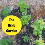 Straw Bale Herb Garden