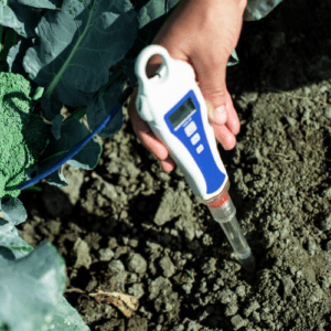 Earthworm Naturals Moisture meter checking soil/