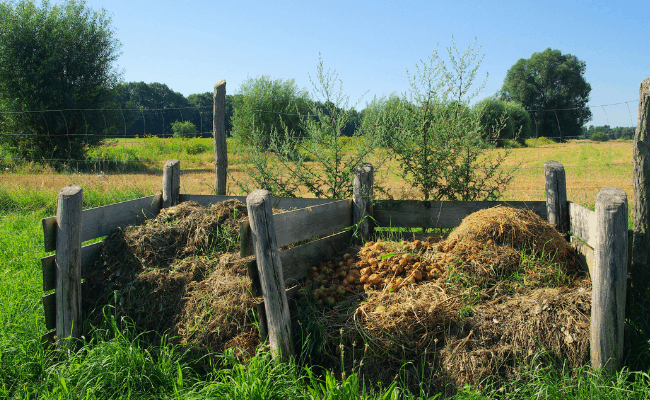 DIY Vermicomposting