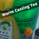 Worm Casting Tea