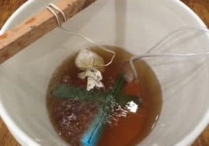 Making Worm Tea at Home