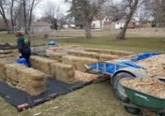 Straw Bale Gardening setting up the straw bale garden