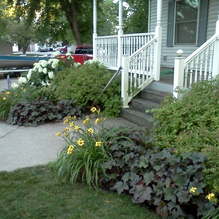 Beautiful Landscape in front of our worm farms.