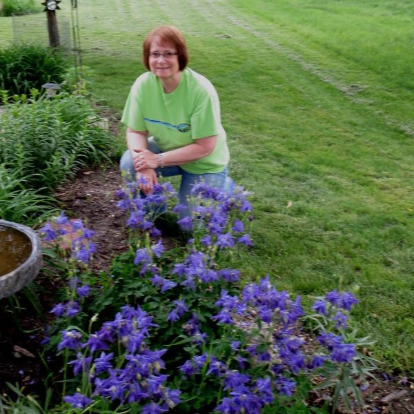 Beautiful flower garden grown with castings by worm farmers.