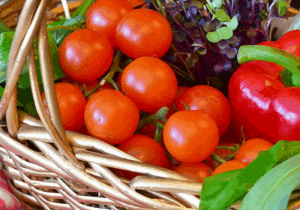 Advantages of Vermicompost vegetable basket.